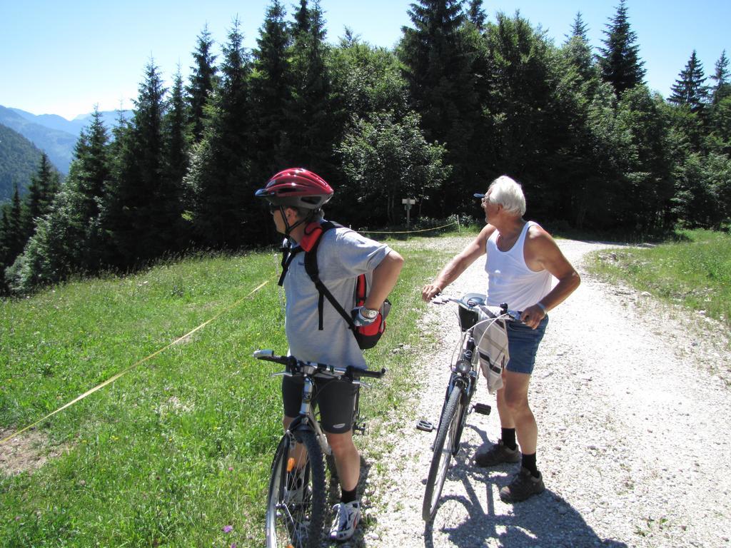 Pension Sydler Bad Goisern Luaran gambar