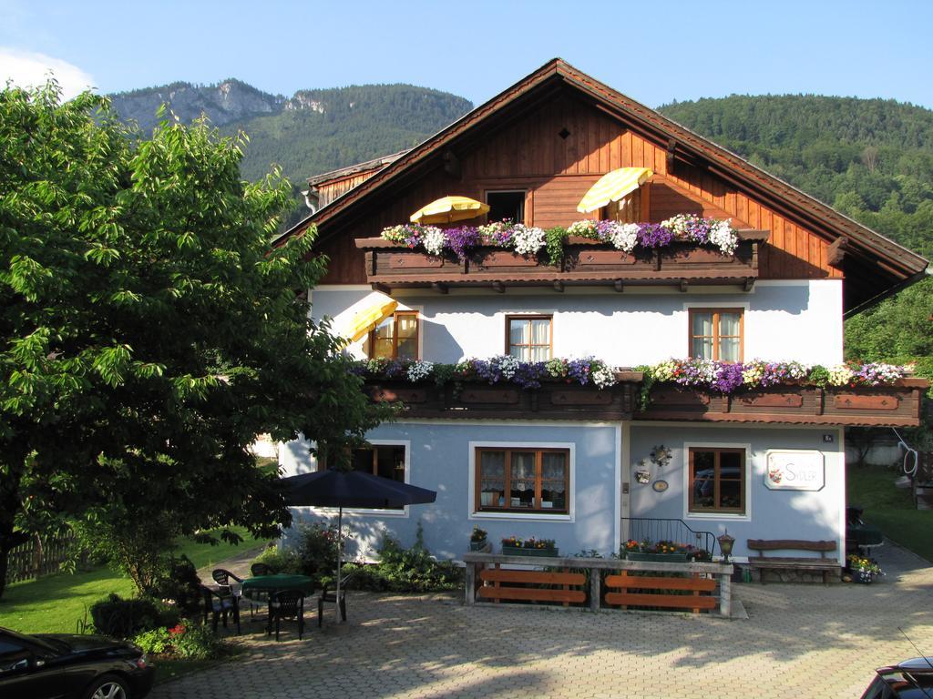 Pension Sydler Bad Goisern Luaran gambar